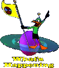duck1.gif (20819 bytes)